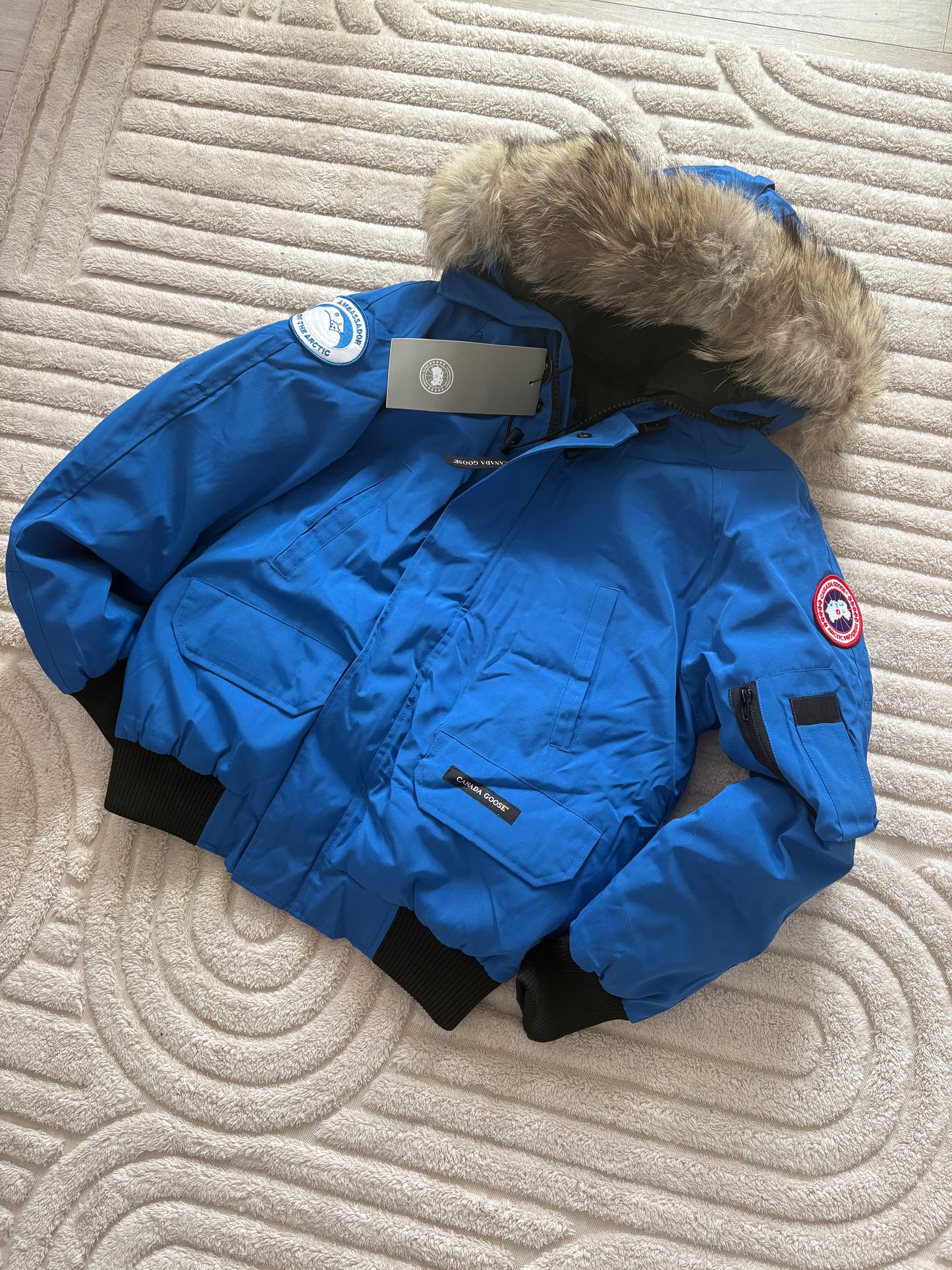 CG BOMBER ROYAL BLUE